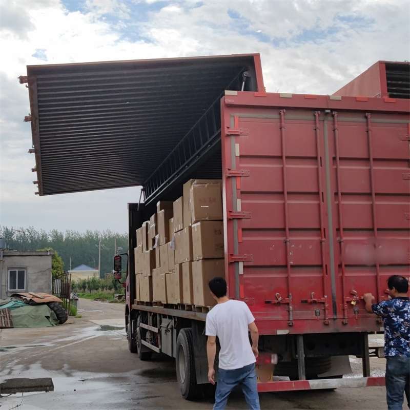 磁县扎囊县：物流专线的高效货运之旅